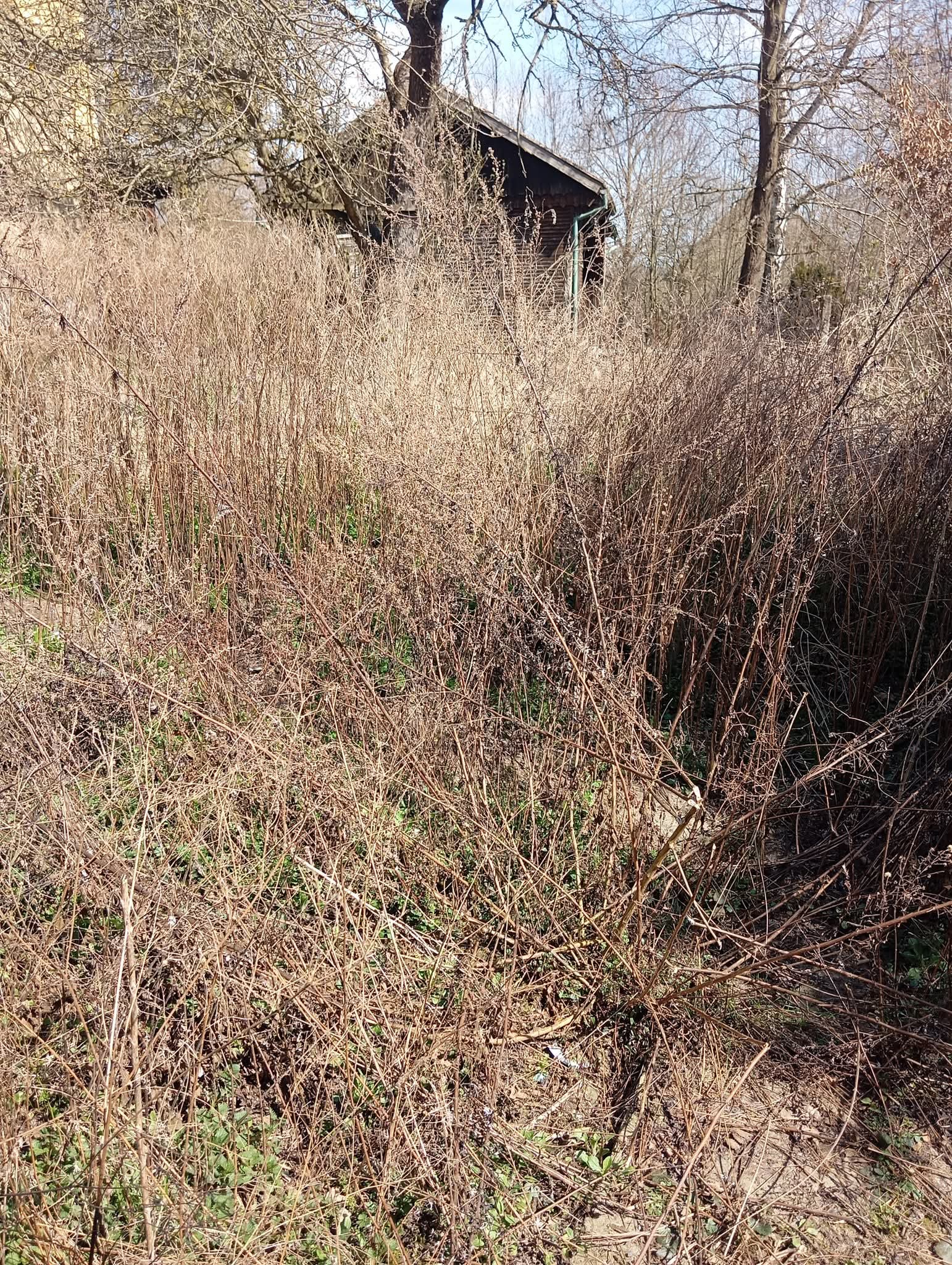 Vyklízení objektů